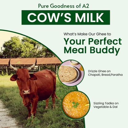  Golden A2 cow ghee in a jar, symbolizing purity and rich flavor, made from desi cow milk, ideal for cooking and Ayurveda."